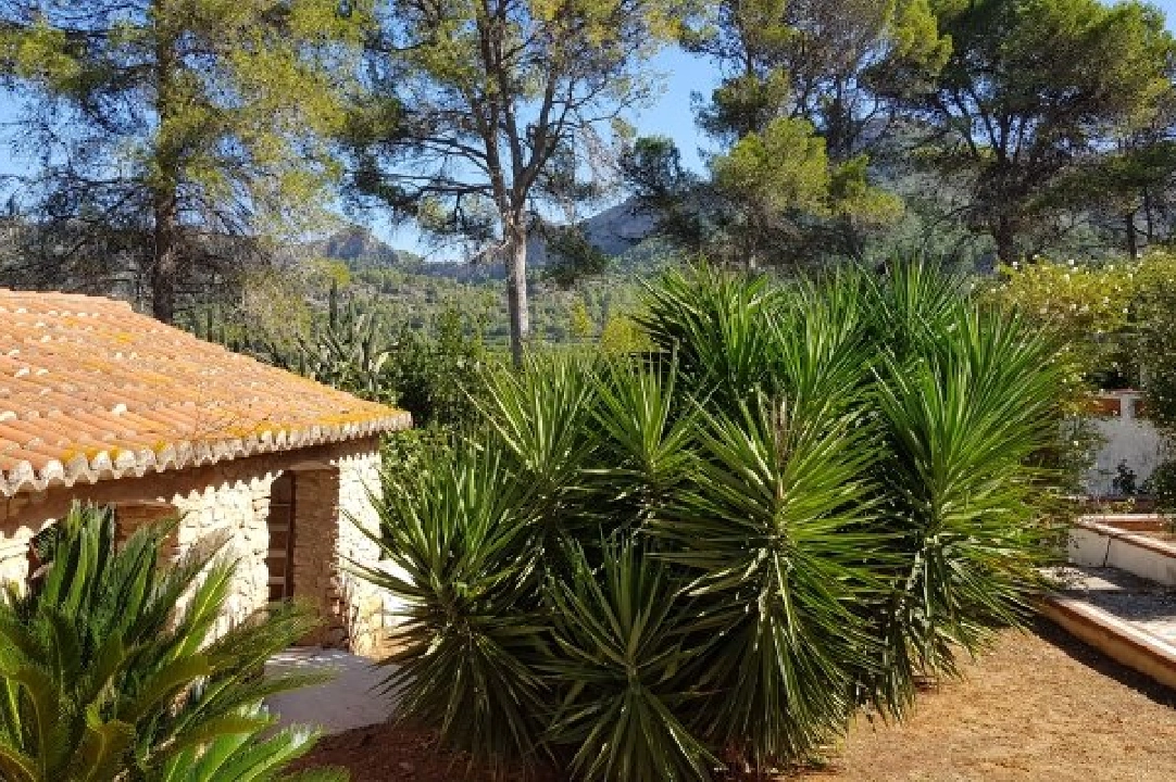 Villa in Gandia te koop, woonoppervlakte 1300 m², grondstuk 200000 m², 20 badkamer, ref.: BS-3974641-34