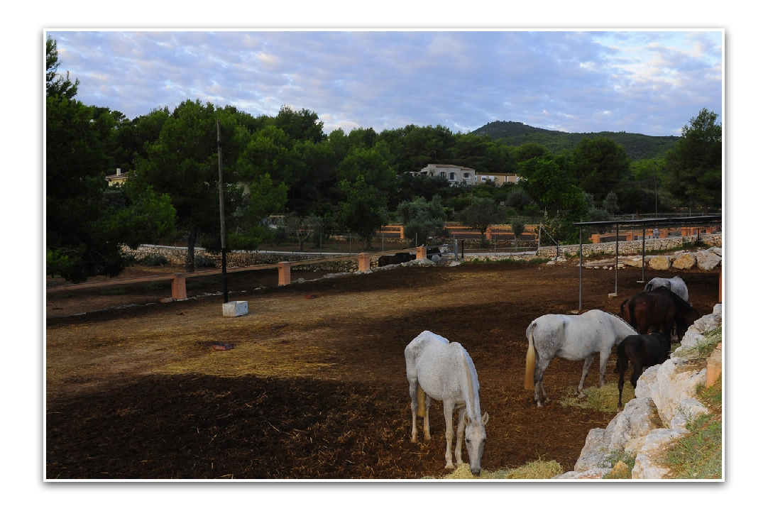 Villa in Javea te koop, woonoppervlakte 420 m², Airconditioning, grondstuk 18000 m², 5 slapkamer, 3 badkamer, Zwembad, ref.: PR-PPS1295-20