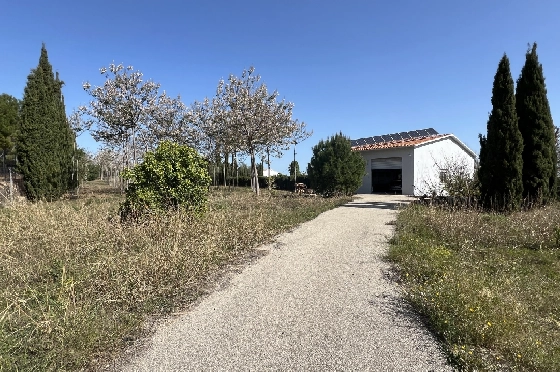 Finca in Pedreguer zu verkaufen, Wohnfläche 400 m², + KLIMA, Grundstück 12000 m², 2 Schlafzimmer, 2 Badezimmer, ref.: JS-0624-19