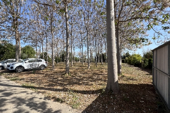 Finca in Pedreguer zu verkaufen, Wohnfläche 400 m², + KLIMA, Grundstück 12000 m², 2 Schlafzimmer, 2 Badezimmer, ref.: JS-0624-38