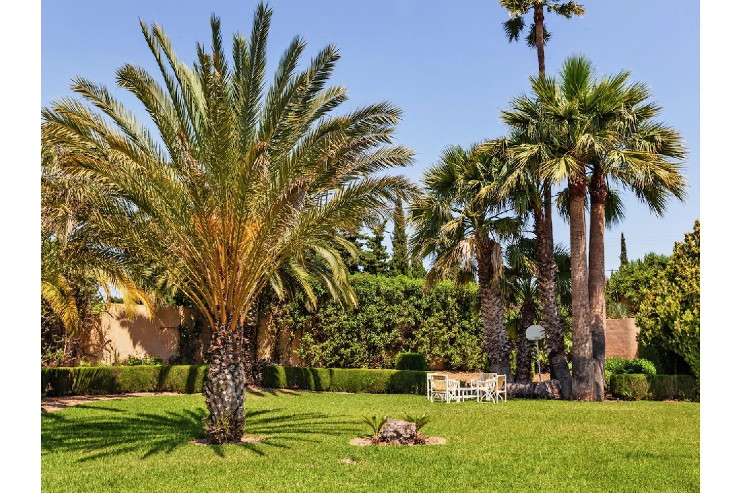 Finca in Benissa(Benissa Centre) te koop, woonoppervlakte 495 m², grondstuk 8800 m², 4 slapkamer, 4 badkamer, Zwembad, ref.: CA-F-1791-AMB-32