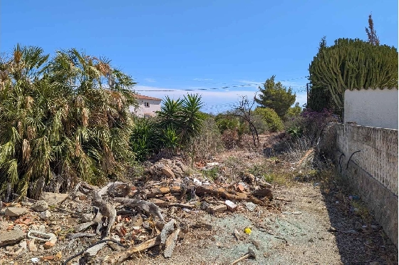 residential-ground-in-Denia-Corral-de-Calafat-for-sale-BP-8191DEN-2.webp