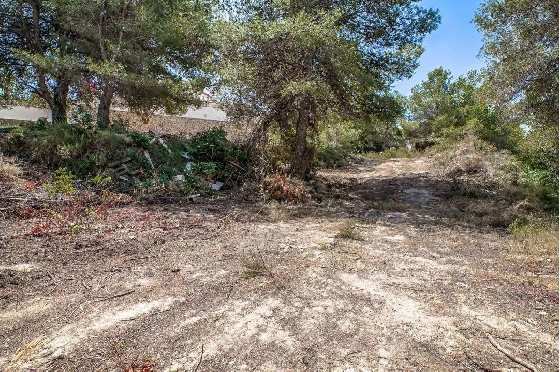 residential-ground-in-Moraira-for-sale-AM-10961DA-2.webp