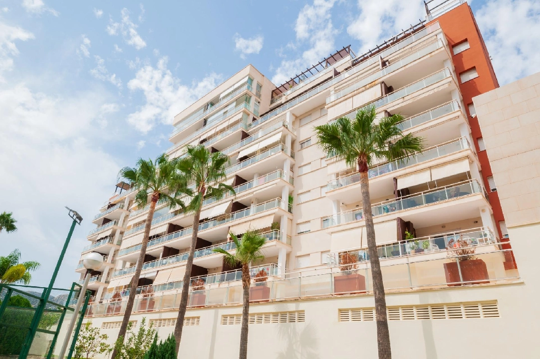 Penthouse Apartment in Calpe(Calpe) te koop, woonoppervlakte 117 m², Airconditioning, 3 slapkamer, 2 badkamer, Zwembad, ref.: COB-3473-10535-13