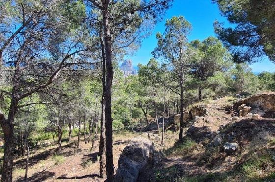 Wohngrundstück in Calpe zu verkaufen, Klimaanlage, Grundstück 2500 m², Pool, ref.: AM-11750NS-5