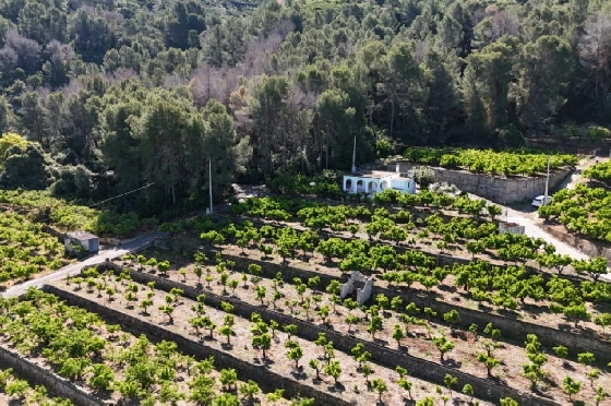 Finca in Pego zu verkaufen, Wohnfläche 45 m², Baujahr 1985, + Ofen, Klimaanlage, Grundstück 4600 m², 2 Schlafzimmer, 1 Badezimmer, Pool, ref.: O-V94614-4