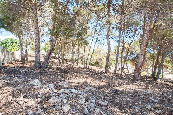 Wohngrundstück in Moraira zu verkaufen, Klimaanlage, Grundstück 2177 m², Pool, ref.: AM-12200DA-5
