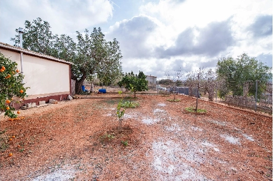 Finca in Benissa zu verkaufen, Wohnfläche 212 m², Baujahr 1978, Klimaanlage, Grundstück 2640 m², 4 Schlafzimmer, 1 Badezimmer, Pool, ref.: AM-12447DR-36