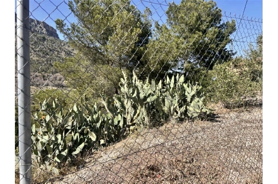 Wohngrundstück in Calpe zu verkaufen, Grundstück 1186 m², ref.: AS-1925-5