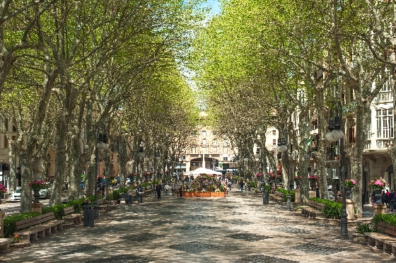 Apartment in Palma De Mallorca zu verkaufen, Wohnfläche 105 m², Grundstück 114 m², 3 Schlafzimmer, 2 Badezimmer, ref.: TW-COR-39,-PALMA-20